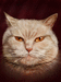 Портрет котика, вариант второй